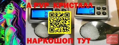 шишки Коммунар