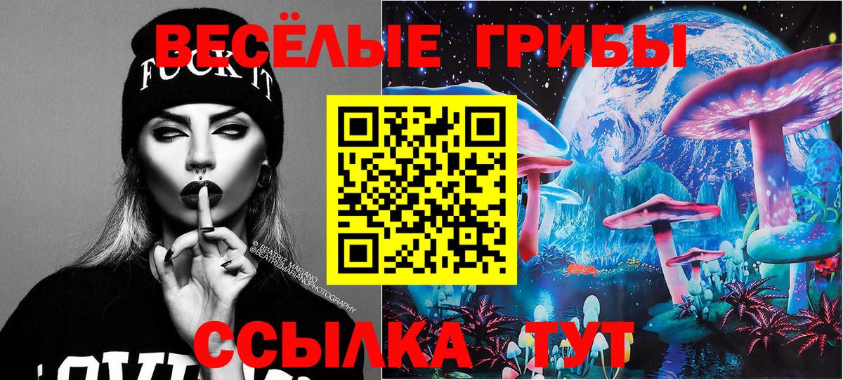 Псилоцибиновые грибы Cubensis Кудымкар