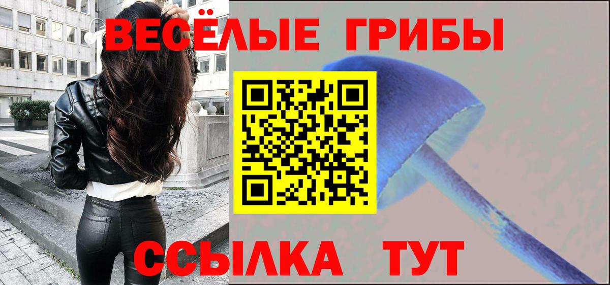 Галлюциногенные грибы Cubensis  Галлюциногенные грибы ЛСД  Вход с VPN  Кудымкар 